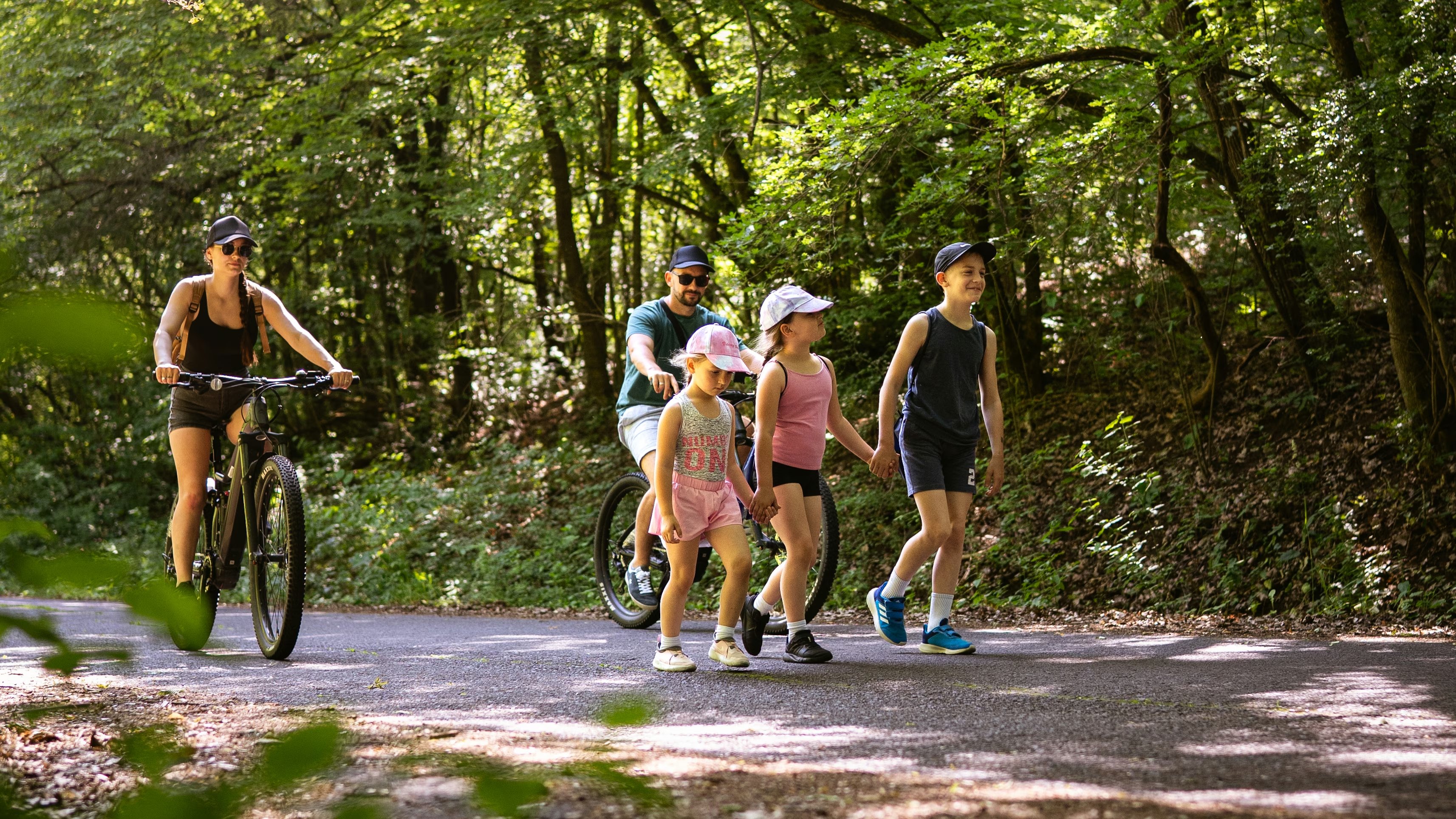 Programok / Programs